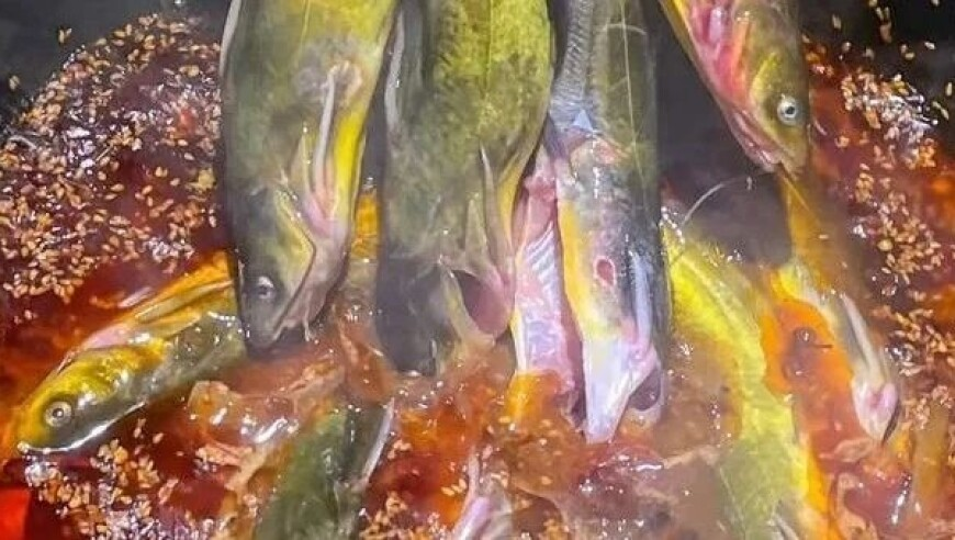 孩子王拟回购注销部分股票,澳门码今晚开什么号码2,最新核心解答落实_精英版V15.86