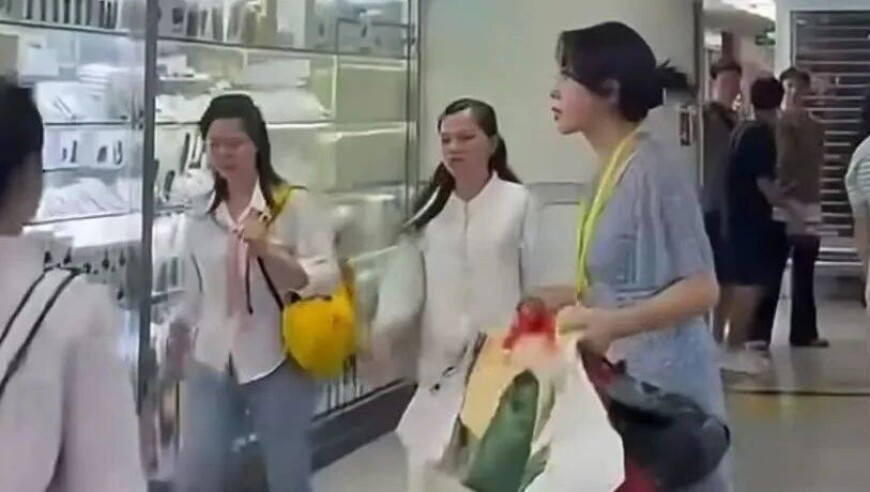 一次性搞清楚蔬菜的切法,2025澳门六开彩最简单处理,广泛的解释落实方法分析_开发版V6.94